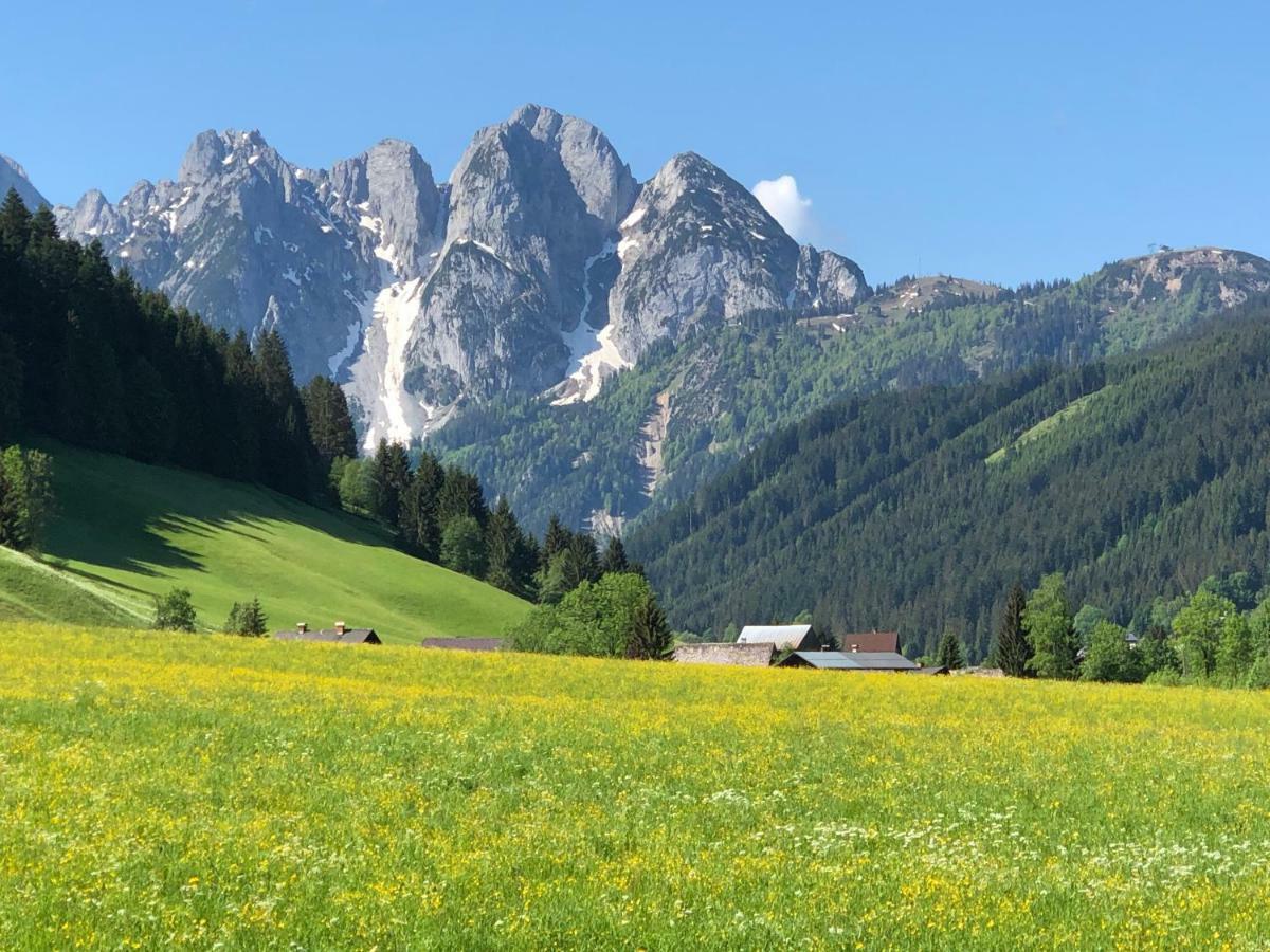 Ferienwohnung Kogelblick Gosau Extérieur photo